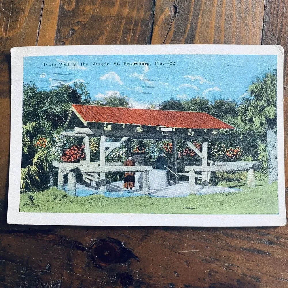 1922 Vintage Postcard Scenic Dixie Well Jungle St Petersburg Florida FL Harvard